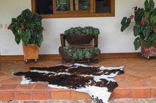 Load image into Gallery viewer, Decohides Tricolor Cowhide Rug