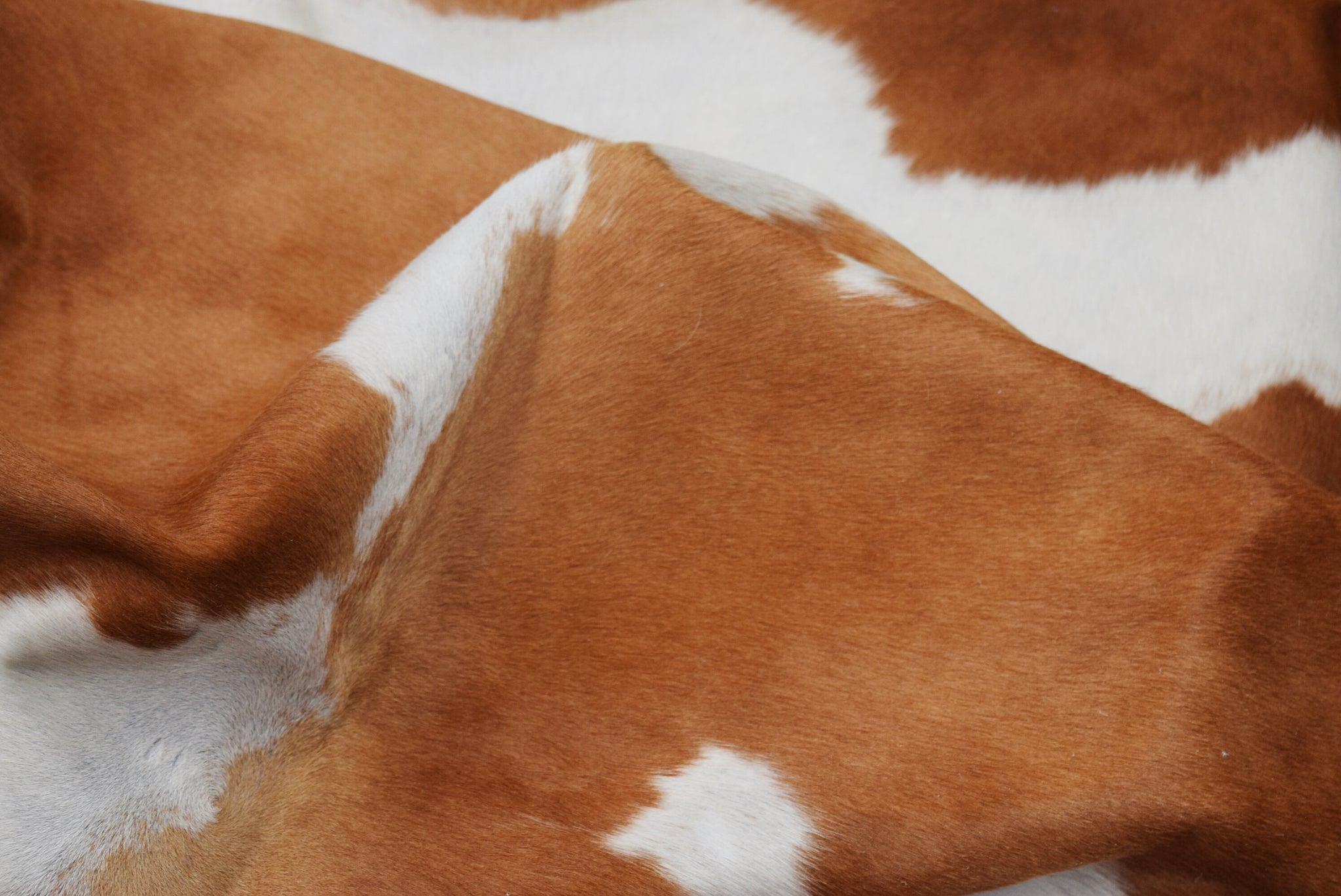 Brown and White Cowhide Rug